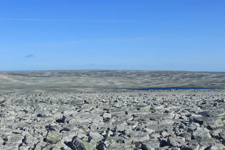 Bilde fra planområdet som viser at det naturmangfoldsmessig er et av de mest karrige områdene i Norge. Bilde viser grå blokkstein.